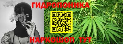 PSILOCYBIN Моздок