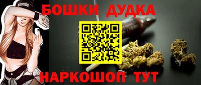 PSILOCYBIN Моздок