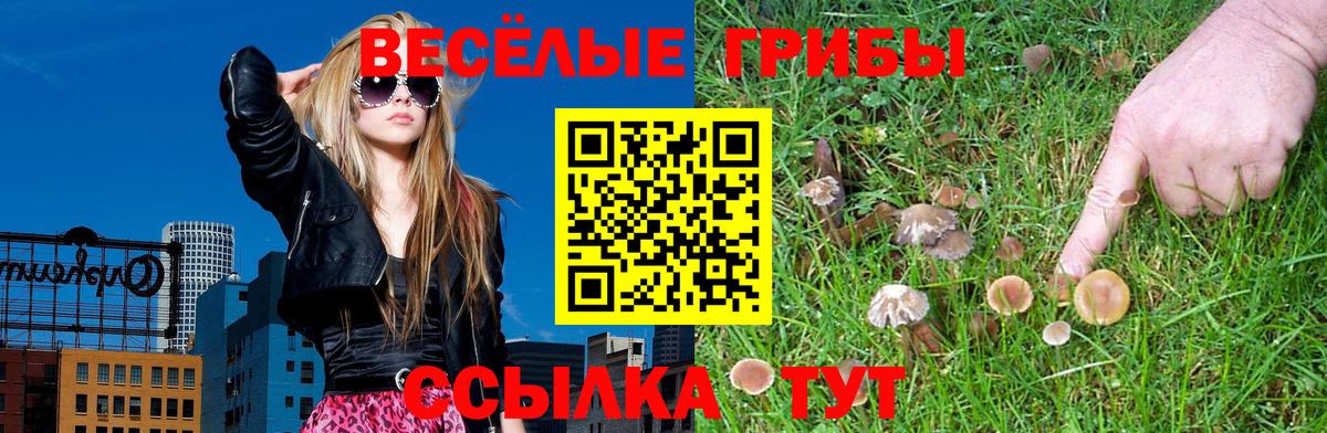 Псилоцибиновые грибы Psilocybine cubensis Бугульма